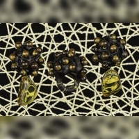 ART.50 - Trittico di anello con orecchini in ebano e argento dorato con sfere di corallo gold naturale e cabochon irregolari di ambra domenicana